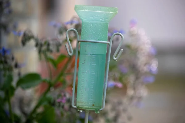 Close up of plastic rain gauge in garden with flowers in background after heavy rain