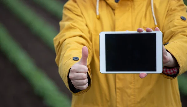 Agricultor Mostrando Tablet Tela Branco Segurando Polegar Para Cima Como — Fotografia de Stock