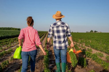 Female farmer carrying watering can walking in pepper field. Young male farmer wearing straw hat and rubber boots carrying basket with vegetables. 