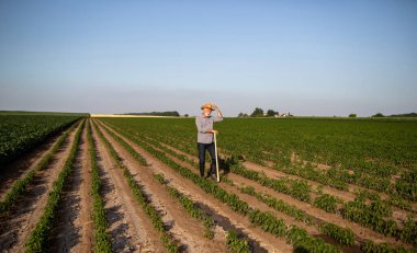 Elderly farmer resting leaning on gardening hoe in pepper field. Old man working in field greeting tipping his hat. 