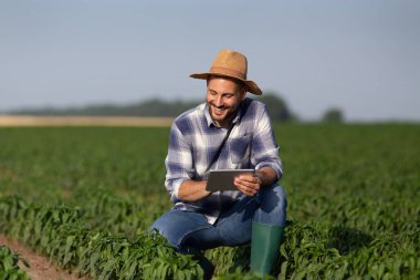 Attractive young farmer using modern technology in agriculture. Male agronomist crouching in field or peppers holding tablet smiling.
