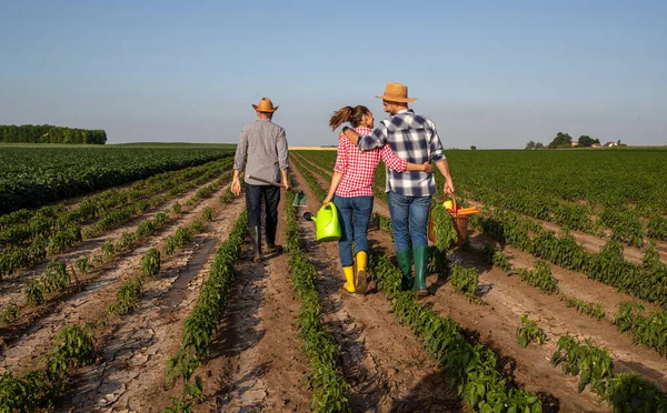 野菜や水で籠を運ぶ畑で働く若い男女が抱きつくことができます 畑を歩く園芸靴を担ぐ高齢農家 — ストック写真