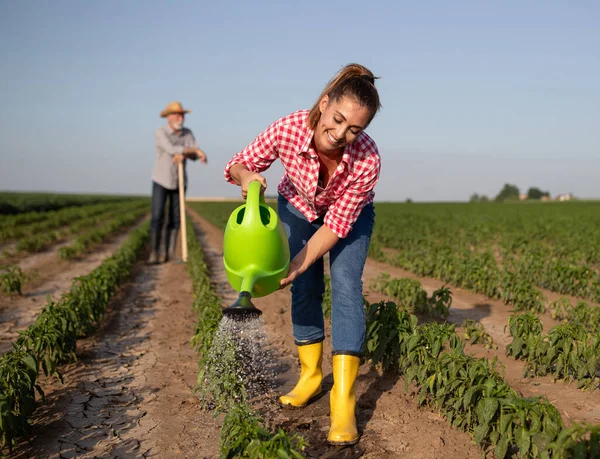 Mujer Agricultora Pie Campo Pimienta Usando Regadera Sonriente Mayores Agricultor —  Fotos de Stock