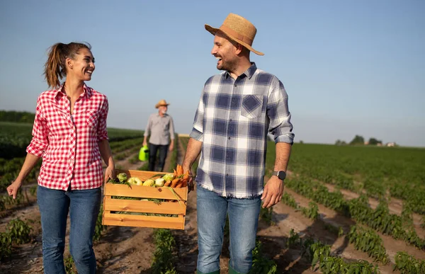 Young Man Woman Walking Smiling While Carrying Wodden Crate Carrots — Photo