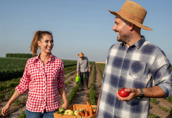 Young Female Farmer Laughing Carrying Wodden Crate Together Handsome Man — Photo