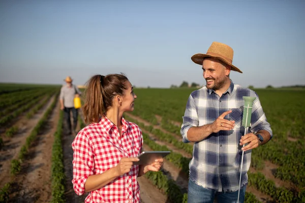 Young female farmer using tablet to collect data standing in field. Male farmer holding rain gauge smiling pointing. Senior farmer using hand sprayer on plants behind.