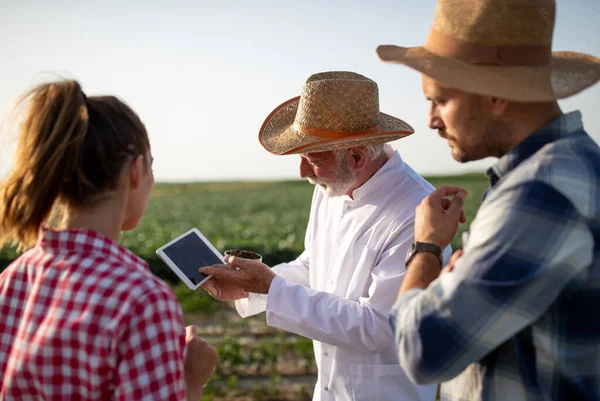 Jonge Paar Boeren Staan Het Veld Luisteren Leren Oudere Wetenschapper — Stockfoto