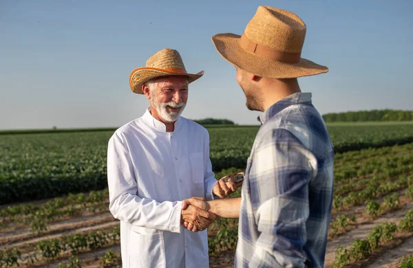 Young Male Farmer Standing Field Greeting Researcher Biologist Elderly Scientist — Foto Stock