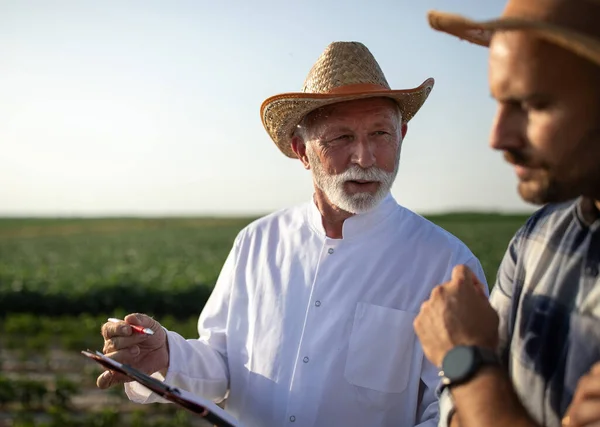 Young Farmer Standing Field Wearing Straw Hat Listening Senior Agronomist — Stok fotoğraf