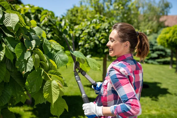 Jardinero Joven Que Trabaja Árbol Recorte Patio Usando Tijeras Chica — Foto de Stock