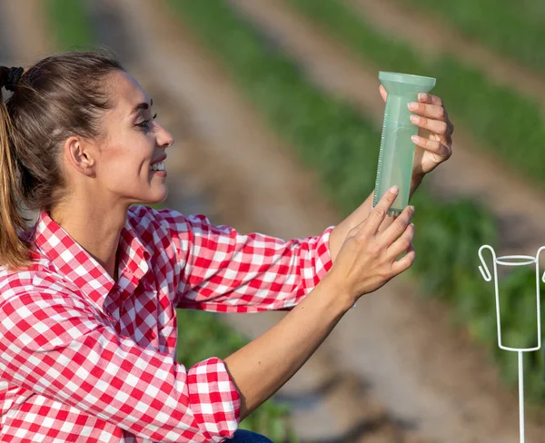 Pretty Female Farmer Working Field Young Agronomist Crouching Field Checking — Foto Stock