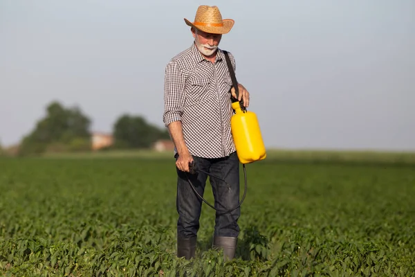 Agricultor Anciano Caminando Plantas Pulverización Campo Con Pesticida Hombre Con — Foto de Stock