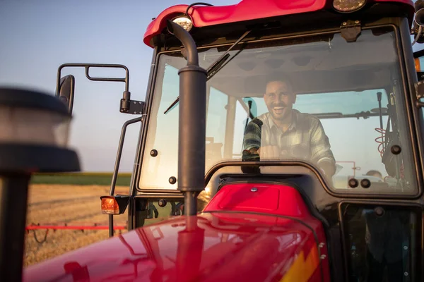 Aufgeregter Landwirt Fährt Traktor Sommer Auf Feld — Stockfoto