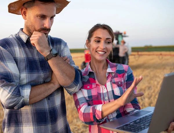Twee Boeren Zoek Naar Laptop Het Veld Tijdens Oogst Zomer — Stockfoto