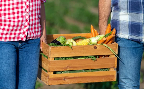 Närbild Kvinnliga Och Manliga Jordbrukare Händer Bär Trälåda Full Grönsaker — Stockfoto