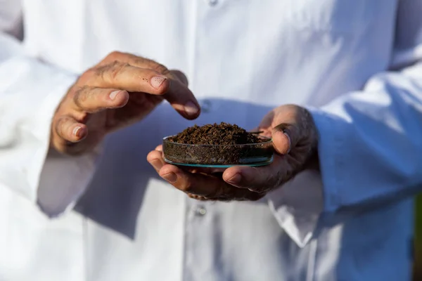 Primer Plano Agrónomo Capa Blanca Sosteniendo Placa Petri Con Muestras —  Fotos de Stock