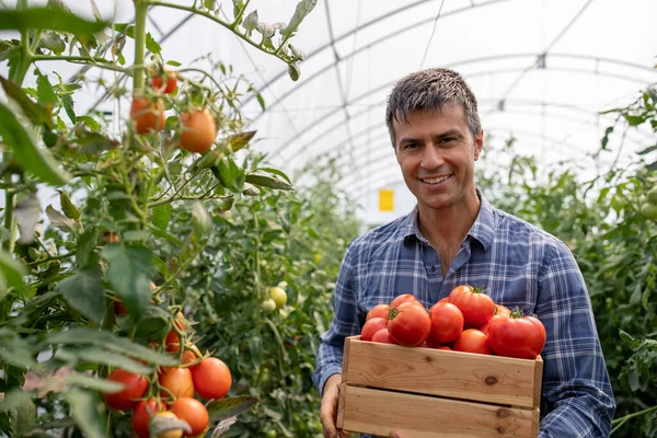 Joven Agricultor Macho Sonriendo Sosteniendo Cajón Madera Con Tomates Lado — Foto de Stock