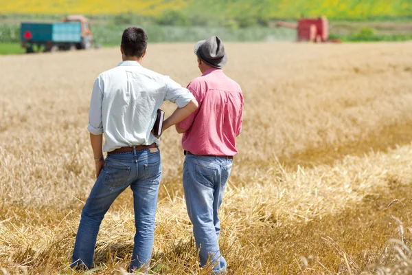 Empresários no campo do trigo — Fotografia de Stock