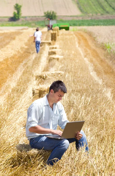 Vendemmia — Foto Stock