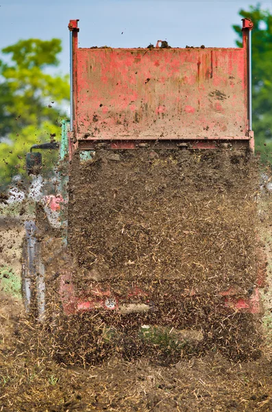 Campo de fertilização — Fotografia de Stock