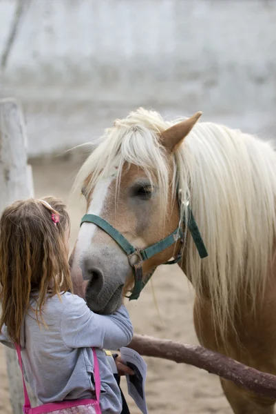 Girl and horse — Stock Photo, Image