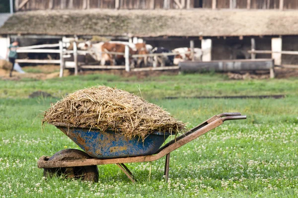 Natural manure — Stock Photo, Image