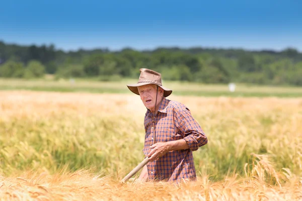 Trabajador en campo de cebada — Foto de Stock