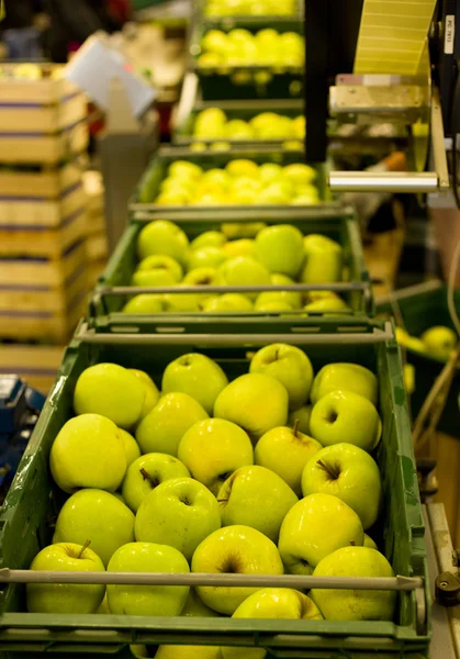 Apple packaging — Stock Photo, Image