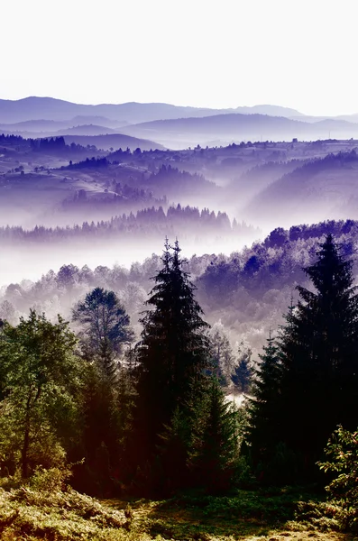 Berglandschap — Stockfoto