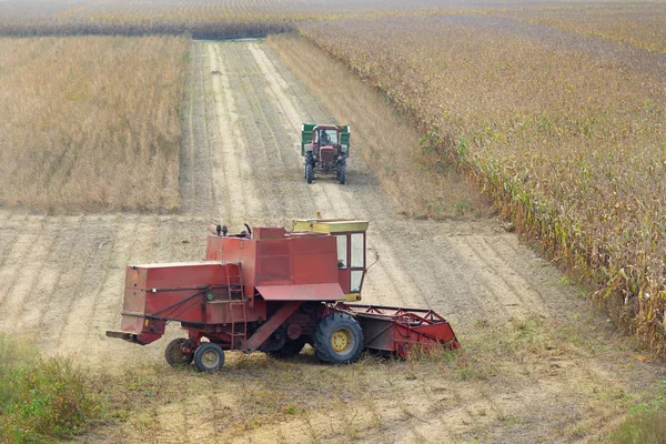 Soybean harvest — Stock Photo, Image