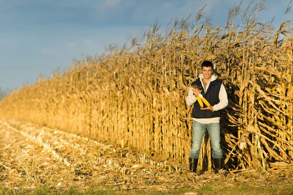 Agricoltore nel campo di mais — Foto Stock