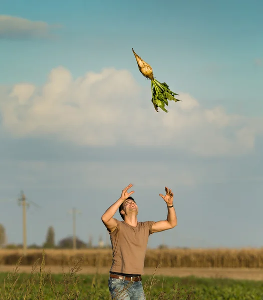 Adam şeker pancarı ile — Stok fotoğraf