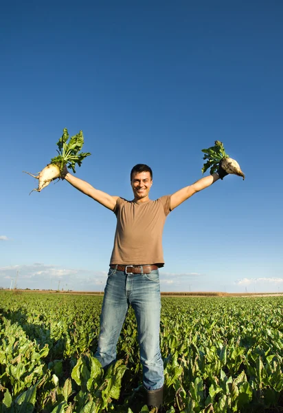 Farmer with sugar beets — Stock Photo, Image