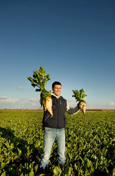 Farmer with sugar beets — Stock Photo, Image