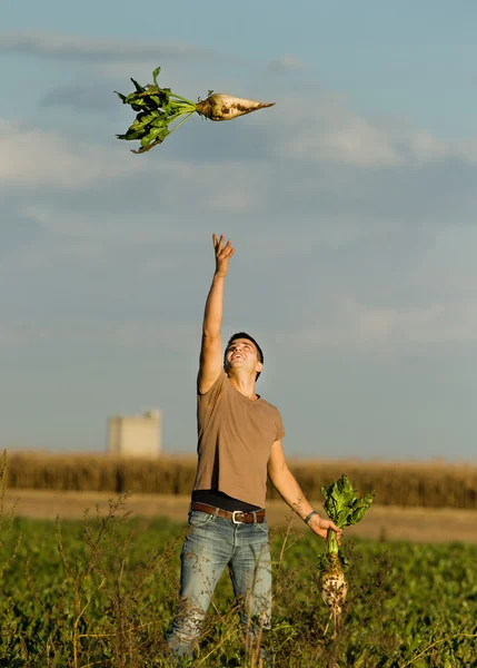 Man with sugar beet — Stock Photo, Image