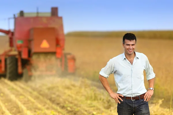 Soybean harvest — Stock Photo, Image