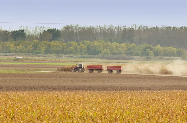 Traktor på fältet — Stockfoto