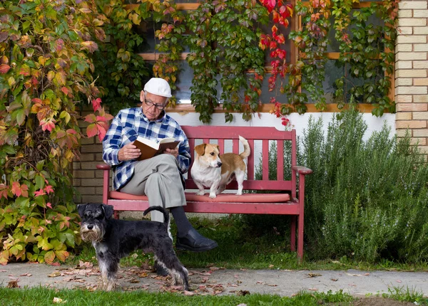 Uomo anziano con libro e cani — Foto Stock