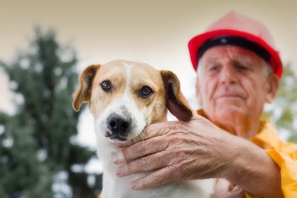 Rescatar al perro — Foto de Stock