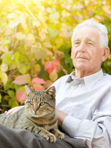 Homem velho com gato — Fotografia de Stock