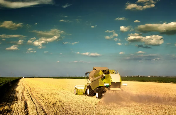 Combine harvester — Stock Photo, Image