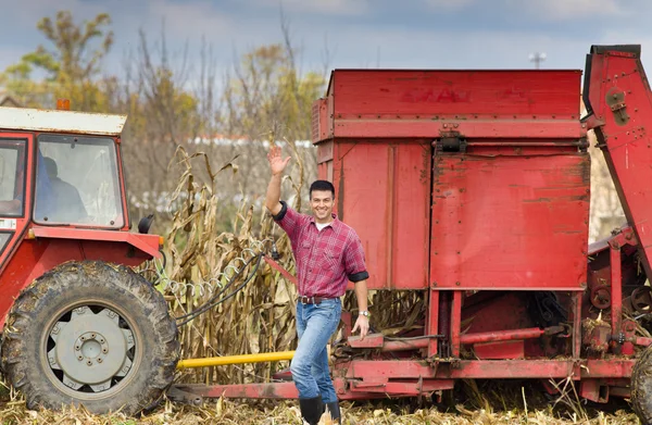 Agricultor en campo de maíz —  Fotos de Stock