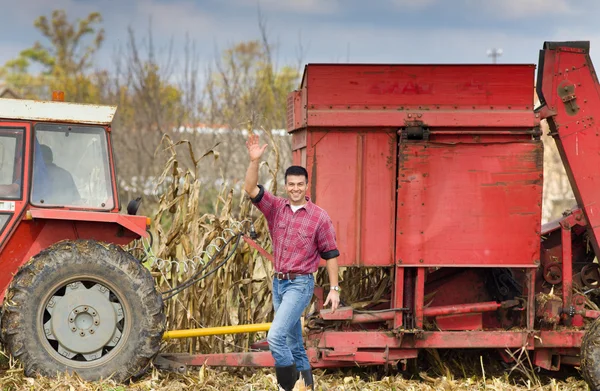 Farmer on corn field — Stock Photo, Image