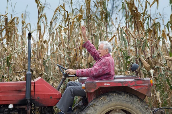 Älterer Mann mit Traktor — Stockfoto