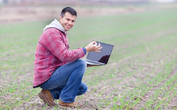 Человек с ноутбуком в поле — стоковое фото