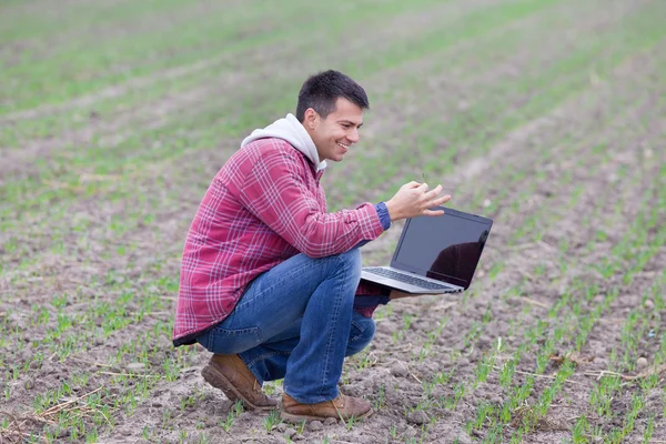 Man met laptop op het gebied — Stockfoto