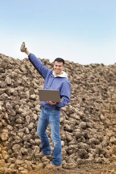 Landwirt auf Zuckerrübenstapel — Stockfoto