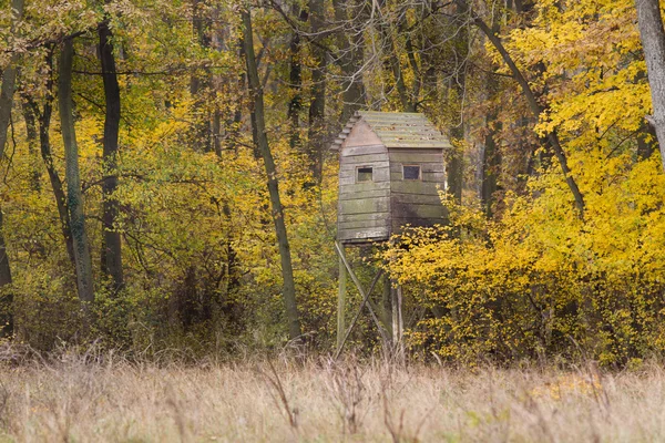 Herbstliche Landschaft — Stockfoto