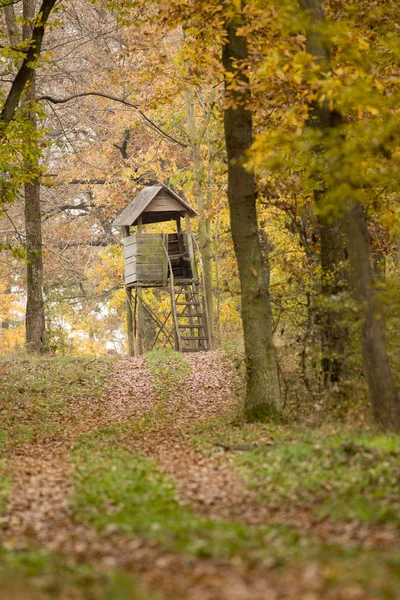 Herbstliche Landschaft — Stockfoto