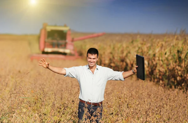 Soybean harvest — Stock Photo, Image